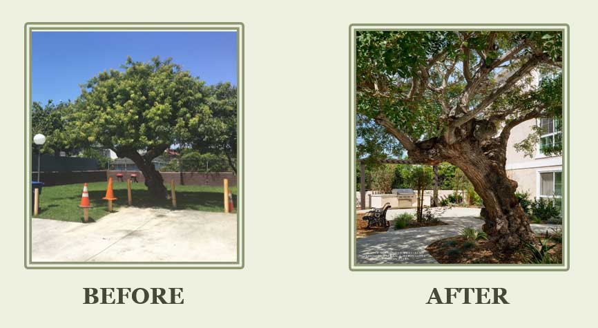property-before-after20165c367852d7ebb