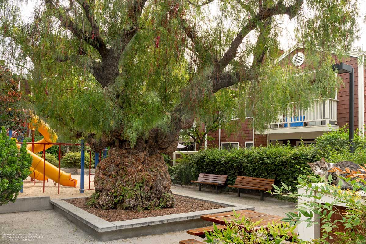 Exterior of Strathern Park property