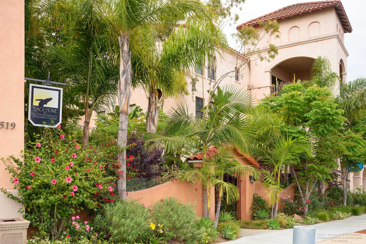 Villaggio, Carson. Thomas Safran & Associates.