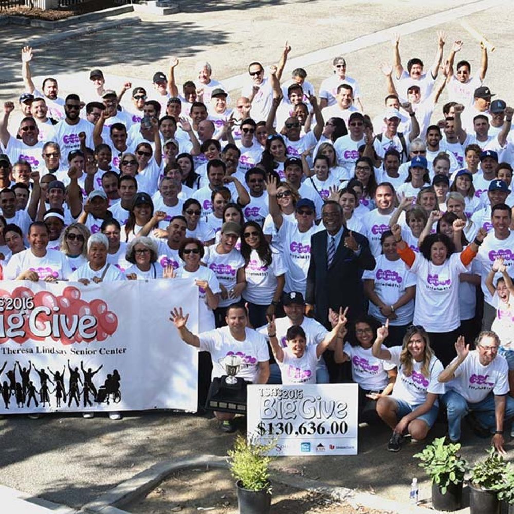 big-give11-crop